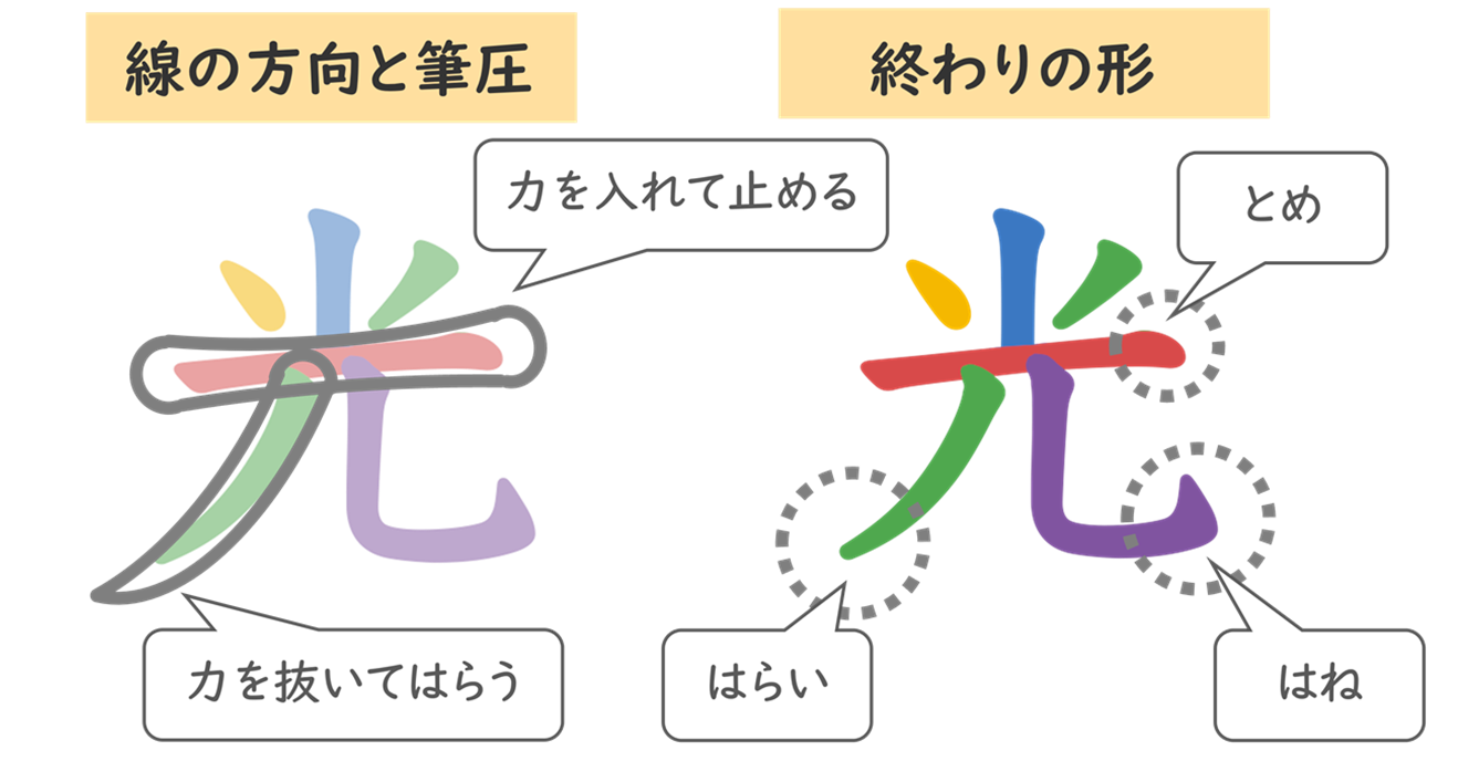 「線」を見分ける（漢字は形から）